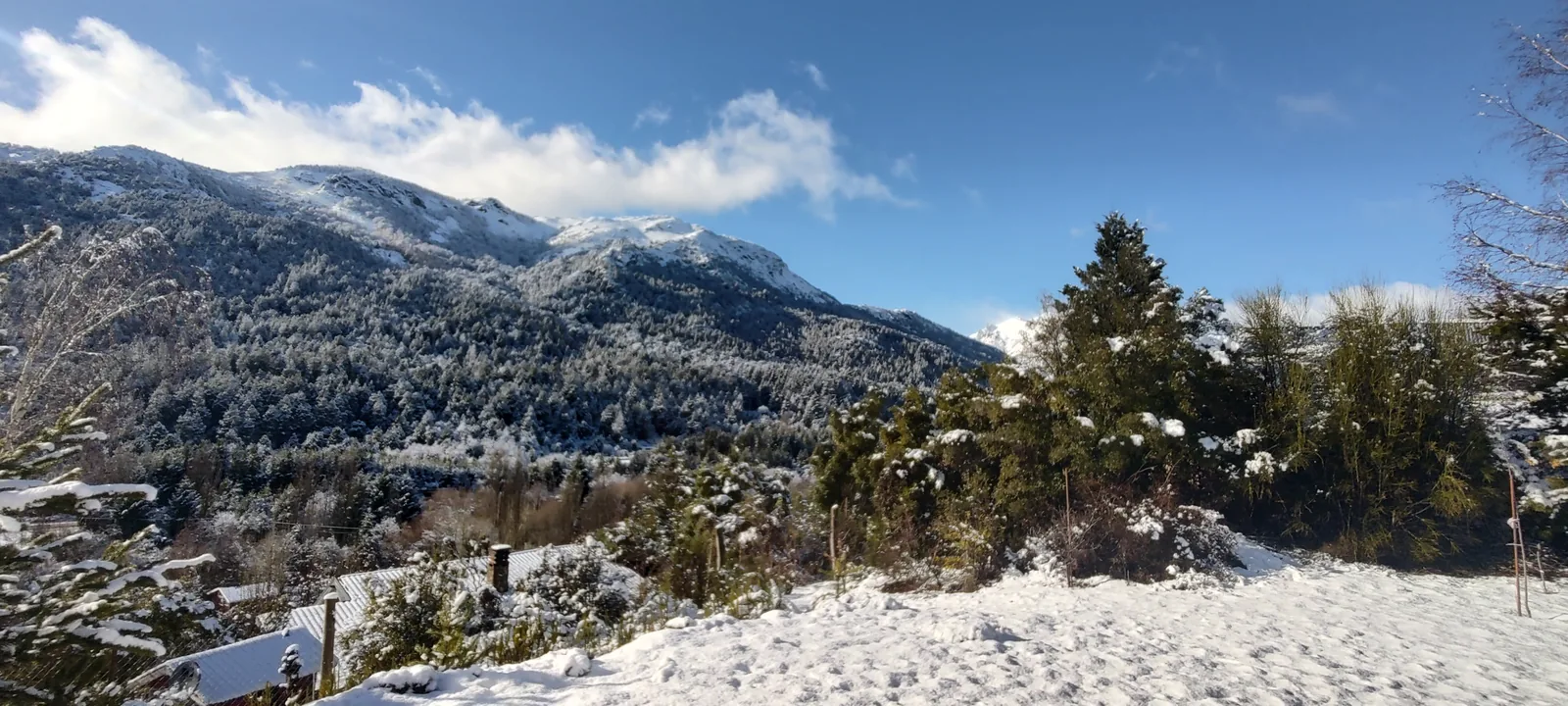 Villa Los Coihues y Lago Gutiérrez: qué hacer todo el año